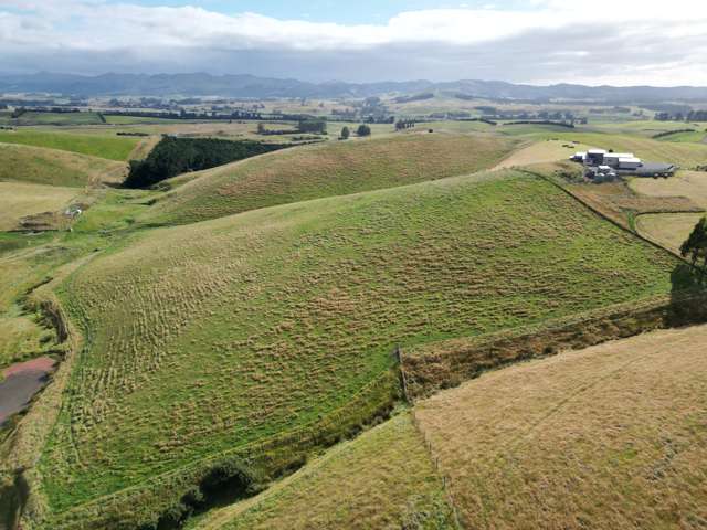 3/220 Taieri Peak Road Palmerston_3