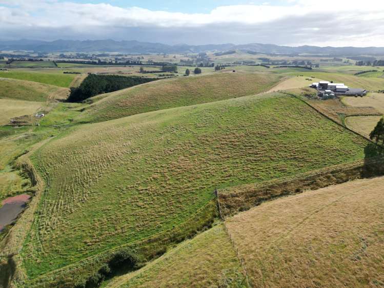 3/220 Taieri Peak Road Palmerston_3