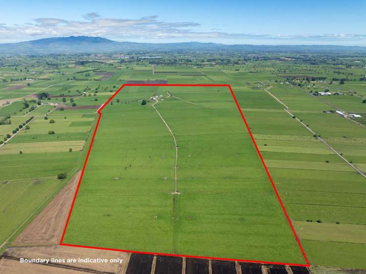 254 Muir Road Te Awamutu_2