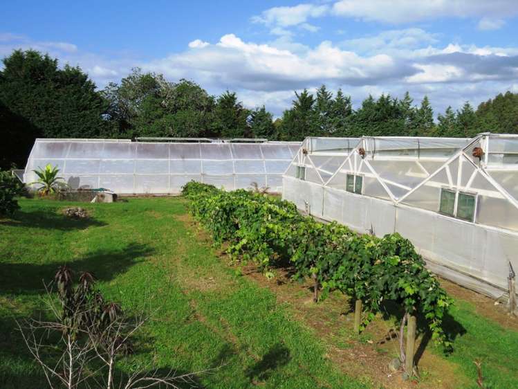 237 Whatitiri Road Maungatapere_21