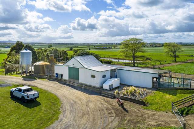 88 Davies Road Taupiri_1