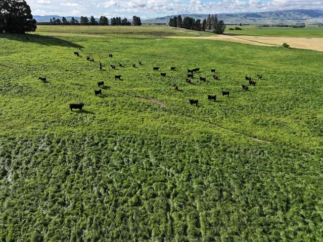 513 Bypass Road Ranfurly_1