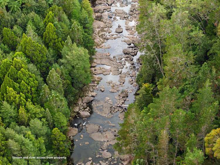 20 McLaren Falls Road Lower Kaimai_18