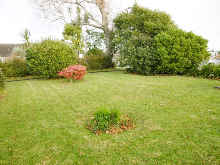 1/4 Marsh Avenue Forrest Hill_6