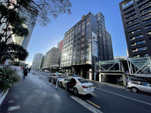 85 The Terrace Wellington Central_1