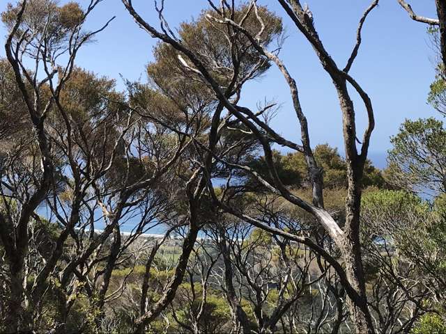 Lot 73/NW71 S71 Aotea Parish Station Rock Road Great Barrier Island_4