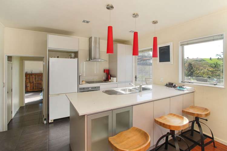 372 Horseshoe Bush Road Dairy Flat_7