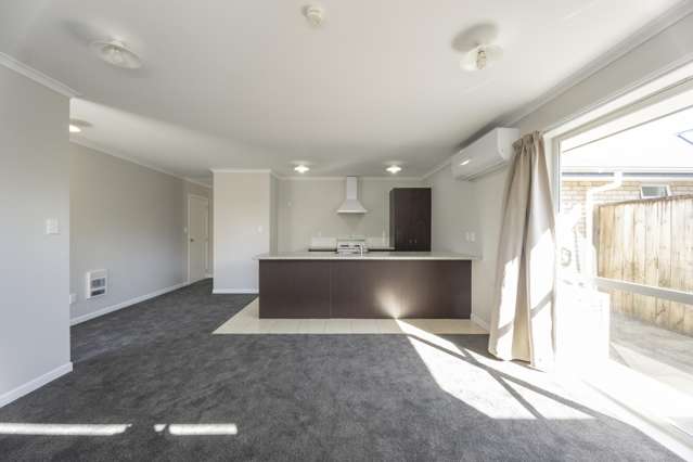 1A Pitt Street Frankton_4