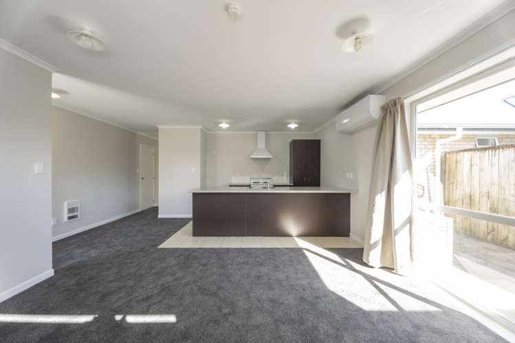1A Pitt Street Frankton_4