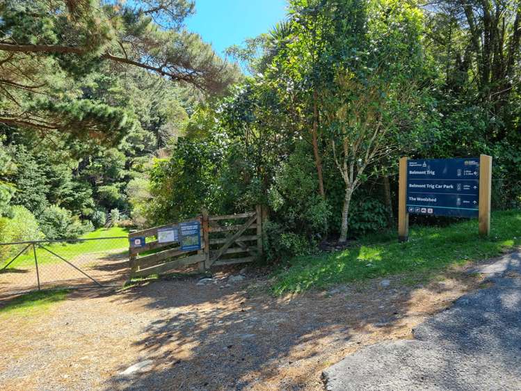 234 Stratton Street Normandale_16