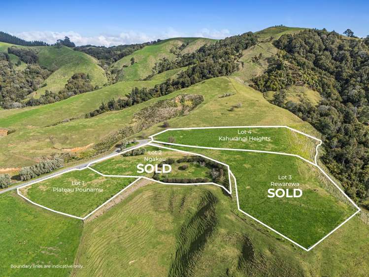 928 Kairangi Road_1