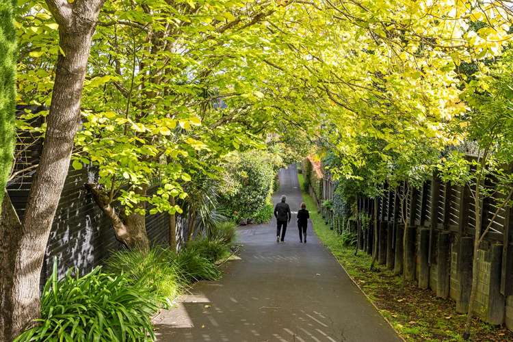 17 Takutai Street Parnell_17