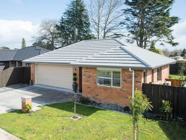 55 Tupelo Street Pukete_11