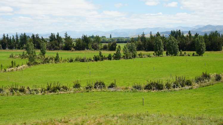 78 Cemetery Road Culverden_14