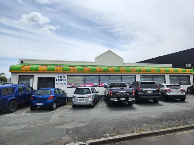 81 Greenwood Street Frankton_1