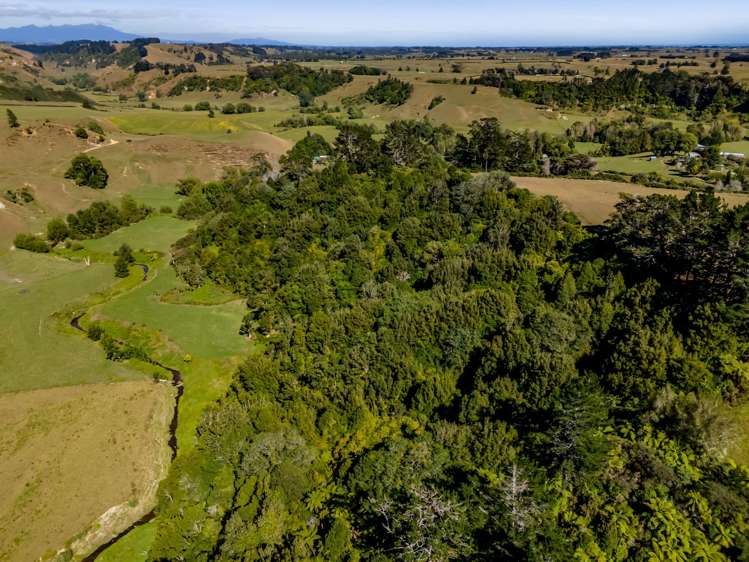 427 Mataro Road Onaero_34