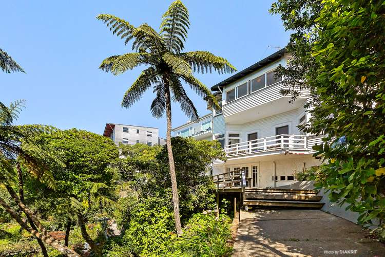 11 Waiteata Road Kelburn_1