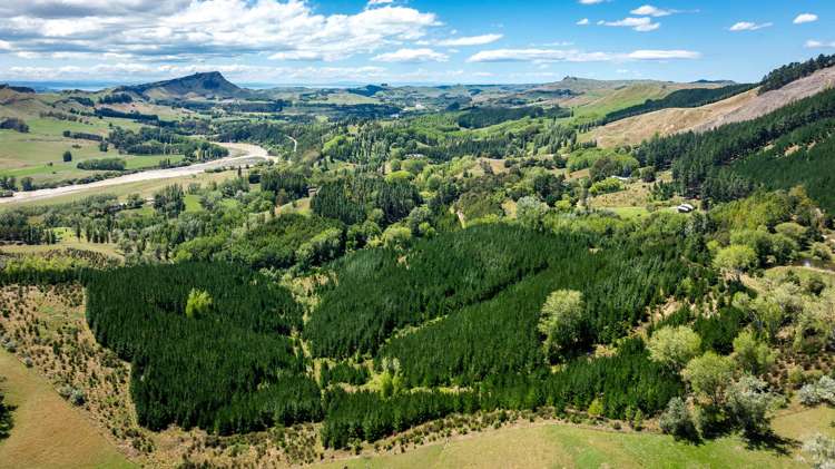 Lot 2, DP 524856, Raratu Road Kahuranaki_8