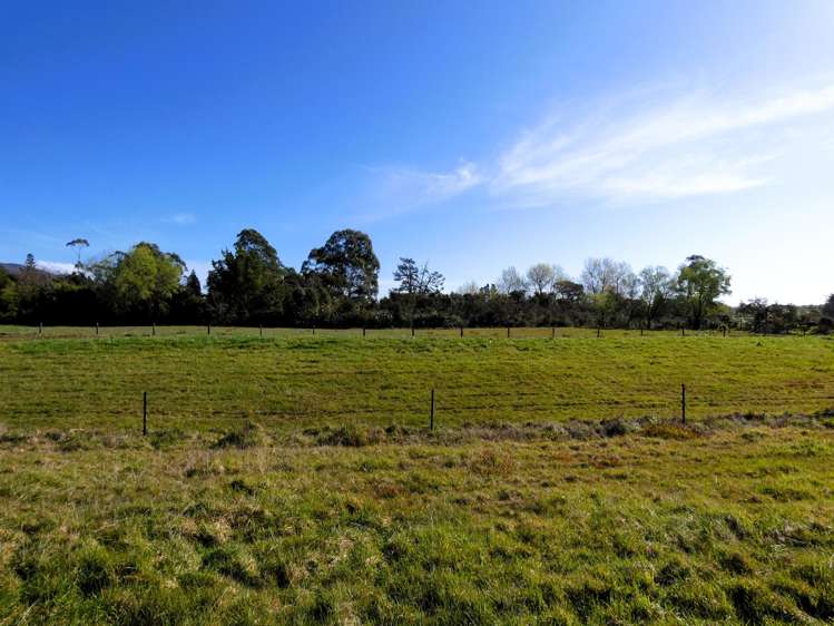 1 Hawes Street Waimangaroa_6