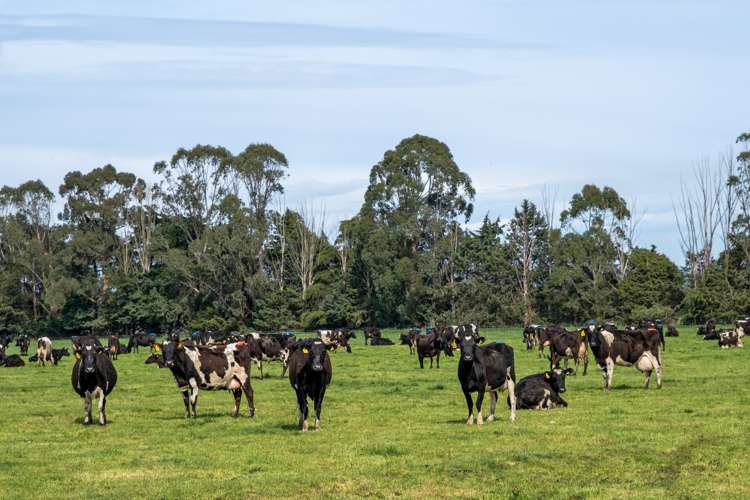 34 Macdonalds Road Waitaki Bridge_16