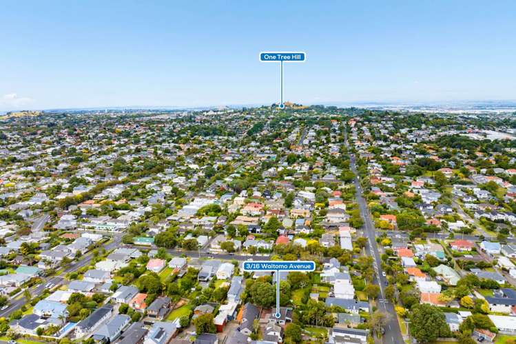 3/16 Waitomo Avenue Mount Eden_6