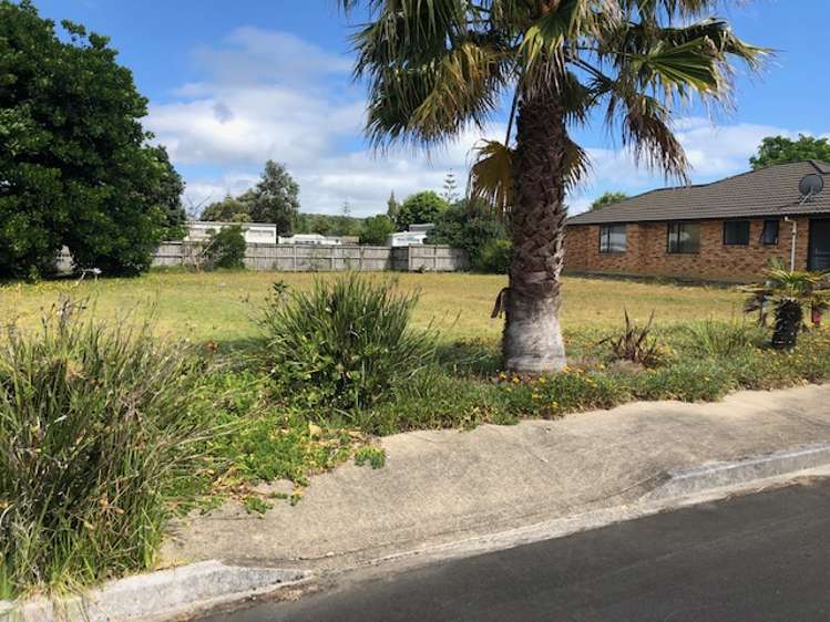 6 Flame Tree Lane Taipa_16