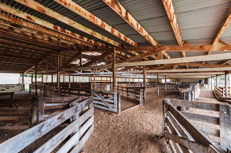 336 Puketapu Road Marotiri_7