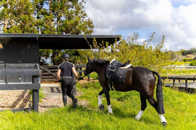 61 Farrand Road Kumeu_20