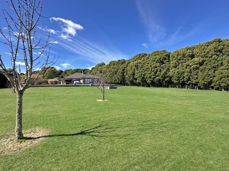 12 Lacebark Drive Kinloch_14