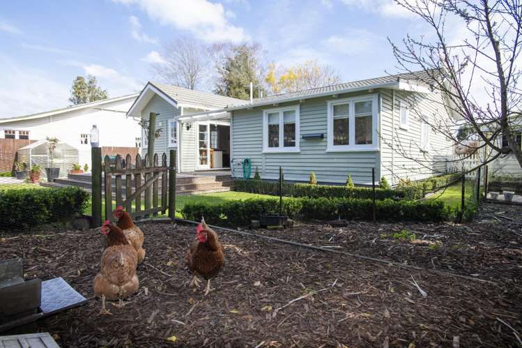 165 Whitaker Street Whataupoko_23