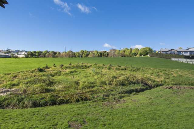 231 Cheyne Road Pyes Pa_3