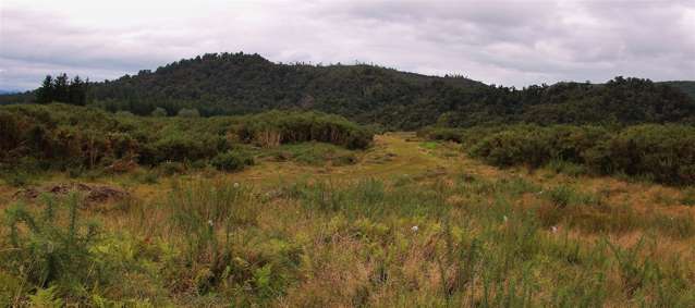 Blue Spur Road Hokitika_2