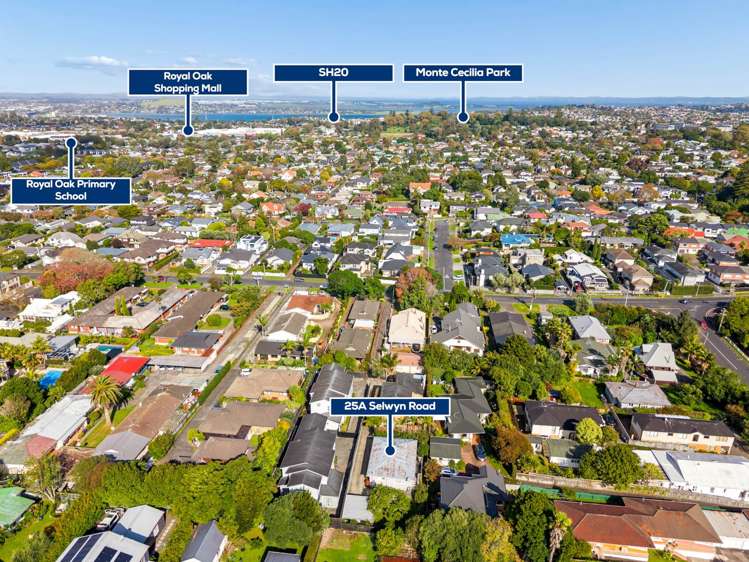 25A Selwyn Road Epsom_8