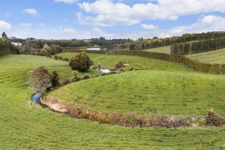 22B Noron Place Katikati_2
