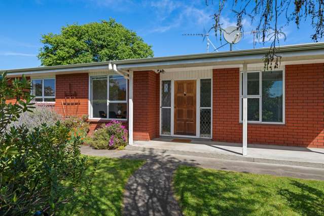 62 Litchfield Street Blenheim_1