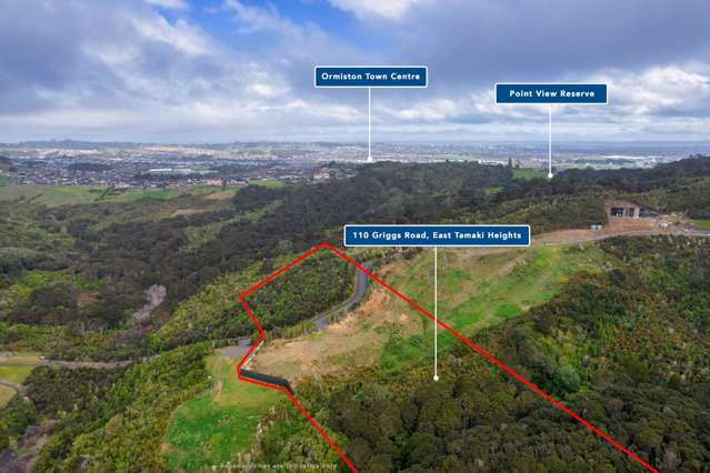 110 Griggs Road East Tamaki Heights_2