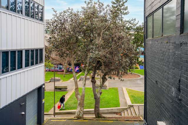 2/20 Garrett Street Te Aro_3