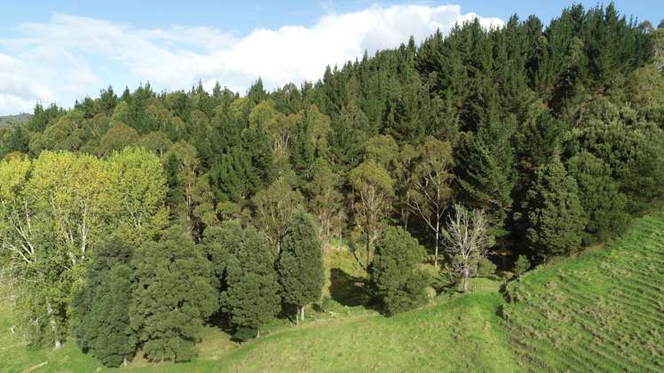 481 Moore Road Pipiwai_3