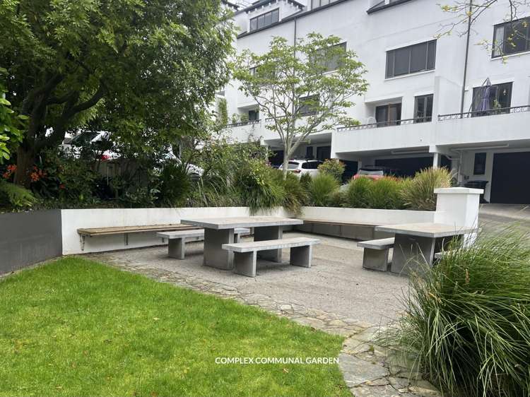 11 Sheehan Street Ponsonby_15