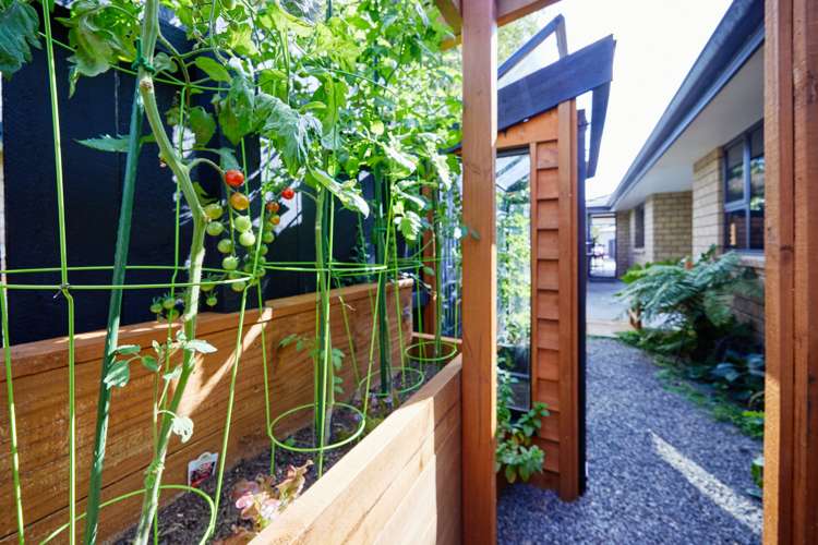 2/28 Mowat Street Springlands_21