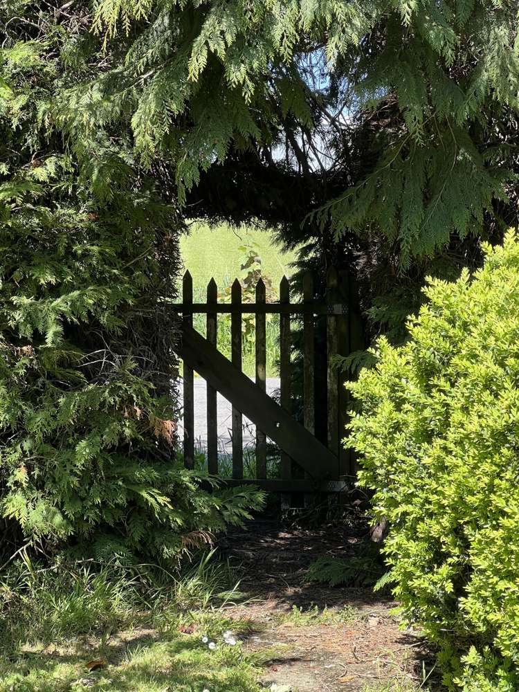 136 Lincoln Road Carterton_19