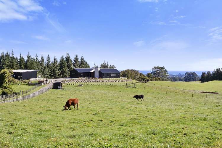 1640 Mangorei Road Mangorei_28