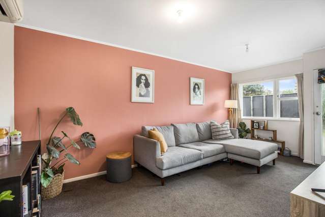 2/95A Freyberg Street Lyall Bay_3