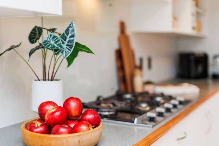 8a Camden Street Feilding_13