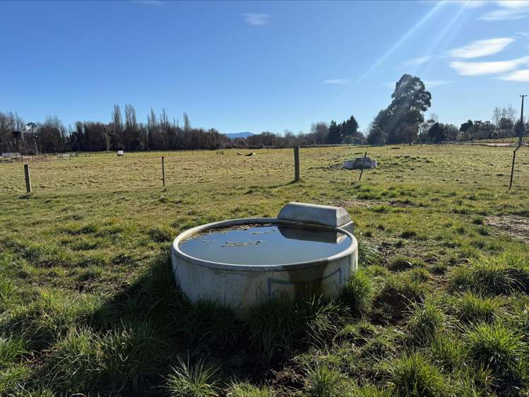 65 Woodbury Road Geraldine_4