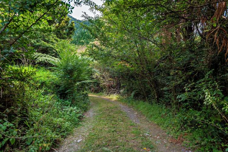 250 Pakihi Road Opotiki_45