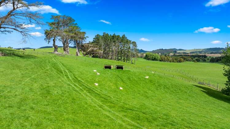 817 Kaipara Flats Road Kaipara Flats_12