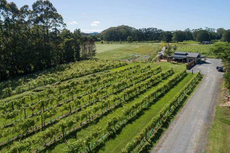 165A Waimate North Road Kerikeri_1