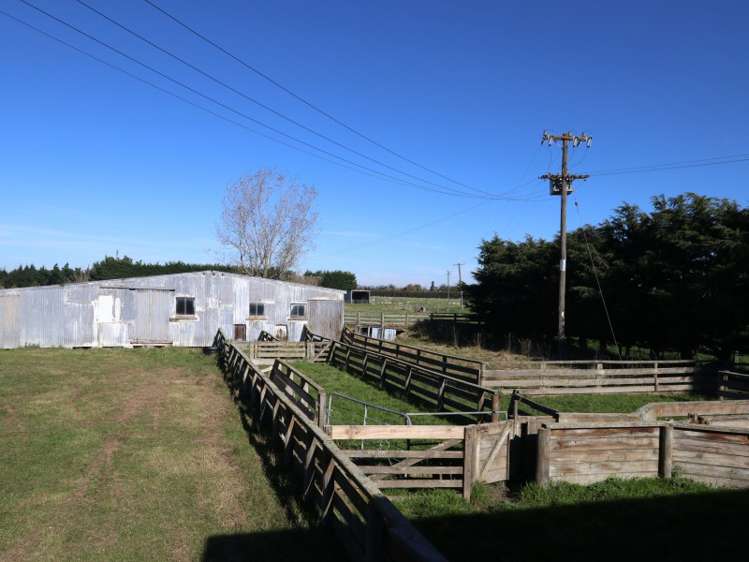 693 Wakanui Road Elgin_15