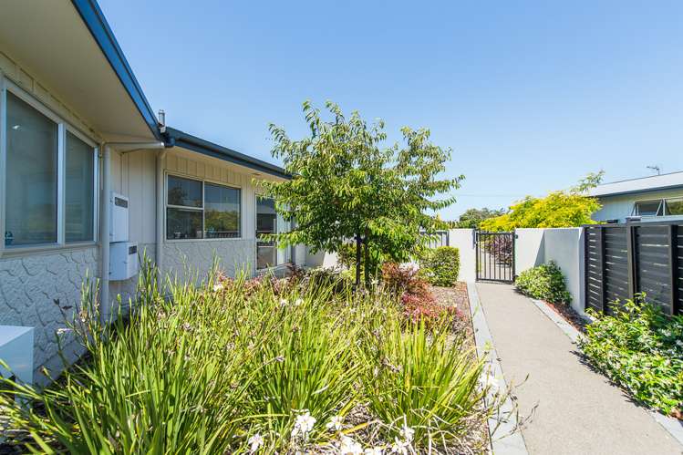34 Alma Road Gonville_11